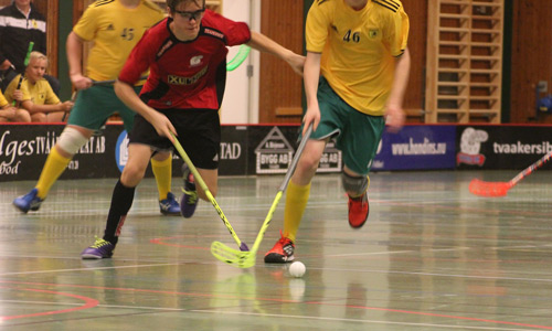 floorball.jpg 